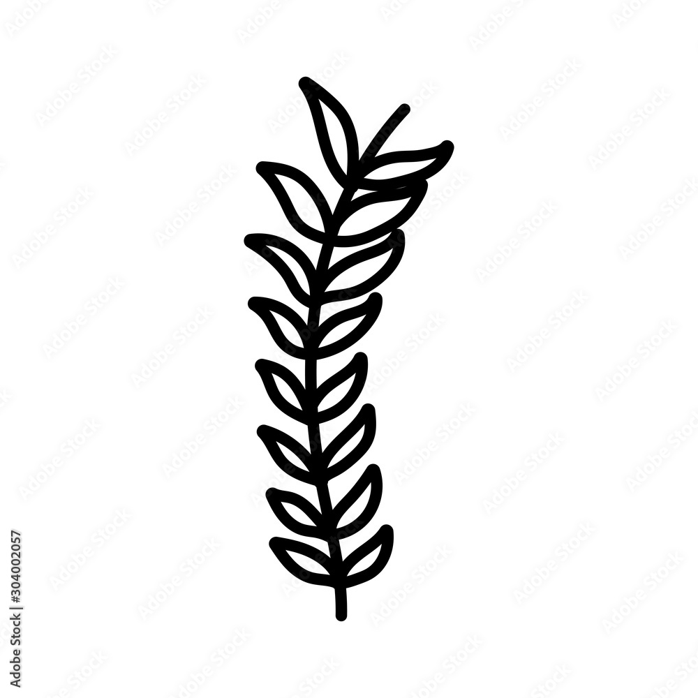 branch leaves foliage natural on white background thick line branch leaves foliage natural on white background thick line
