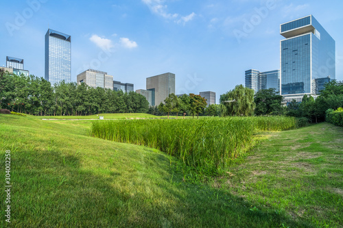 cityscape and skyline of suzhou from meadow in park
