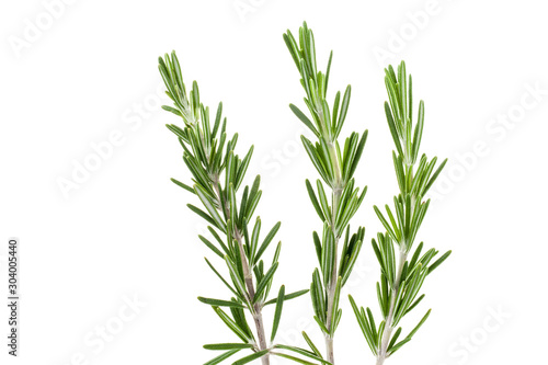 fresh rosemary isolated on white background.