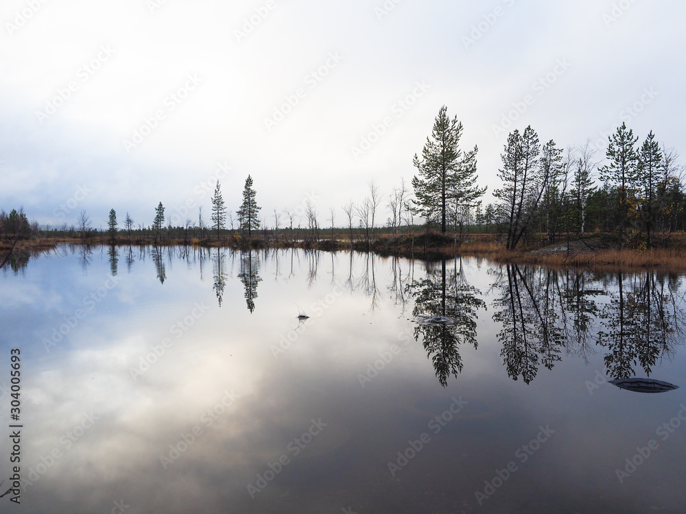 The lake and the beautiful pine forest The lake and the beautiful pine forest