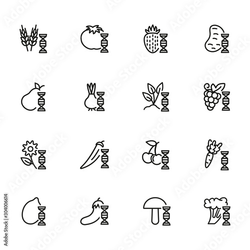 Genetically modified food line icon set. Gene, grain, fruit, vegetables. Food concept. Can be used for topics like genetics, agriculture, GM food