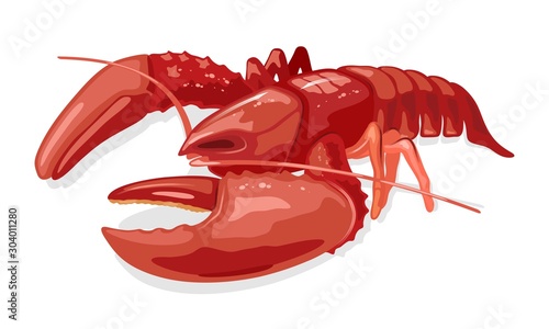 Cooked boiled red lobster or langouste. Seafood. Marine animal. Vector cartoon illustration isolated on white background for market label, food packing, recipes, cookbook, menu, advertising.