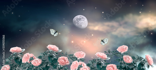 Fairytale fantasy photo background of magical deep dark night sky with shinin...