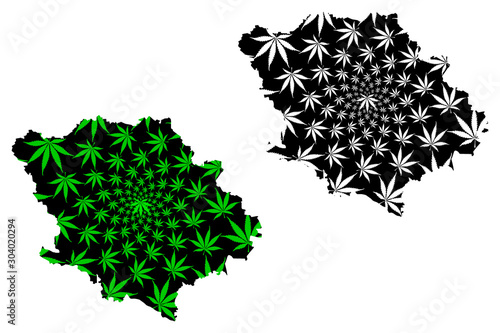 Poltava Oblast (Administrative divisions of Ukraine, Oblasts of Ukraine) map is designed cannabis leaf green and black, Poltavshchyna map made of marijuana (marihuana,THC) foliage....