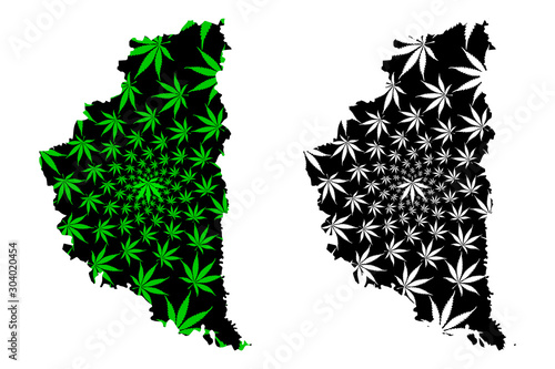 Ternopil Oblast (Administrative divisions of Ukraine, Oblasts of Ukraine) map is designed cannabis leaf green and black, Ternopilshchyna map made of marijuana (marihuana,THC) foliage....
