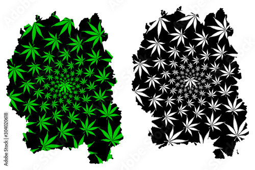 Zhytomyr Oblast (Administrative divisions of Ukraine, Oblasts of Ukraine) map is designed cannabis leaf green and black, Zhytomyrshchyna map made of marijuana (marihuana,THC) foliage....