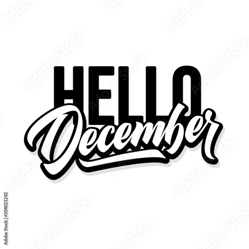 Hello December. Seasonal handwritten lettering. Vector illustration.