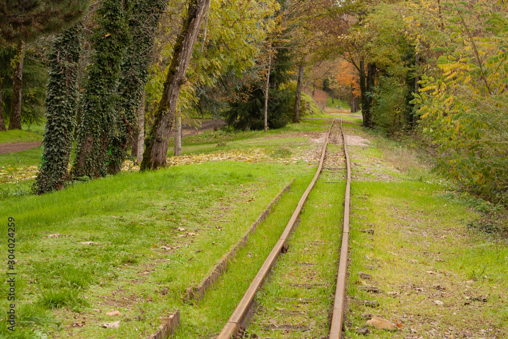 Fototapeta premium ligne droite chemin de fer en forêt
