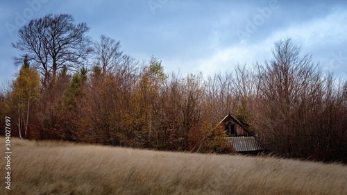Fototapeta Naklejka Na Ścianę i Meble -  Stara Chata Beskidy