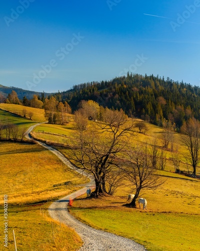 Fototapeta Naklejka Na Ścianę i Meble -  Cieńków Beskidy