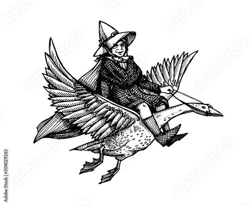 1st May will be Mother Goose Day. Illustration with a witch sitting on a goose. Flying goose and women with a hat.
