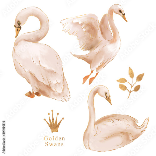 Stampa su tela Beautiful hand drawn watercolor dreaming swan with gold foil contour