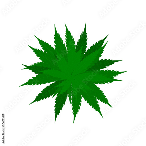 Hemp vector bush. Green cannabis top view illustration. 