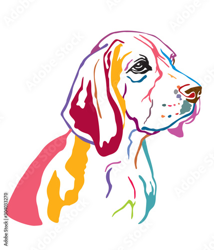 Colorful decorative contour outline portrait of Dog Beagle looking in profile, vector illustration in different colors isolated on white background. Image for design and tattoo. 