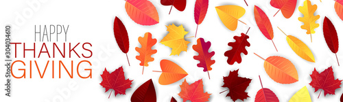 Thanksgiving banner  website header or newsletter cover. Red and orange fall leaves realistic vector illustration with lettering.