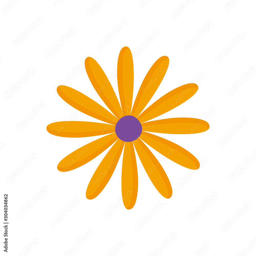 yellow flower decoration on white background