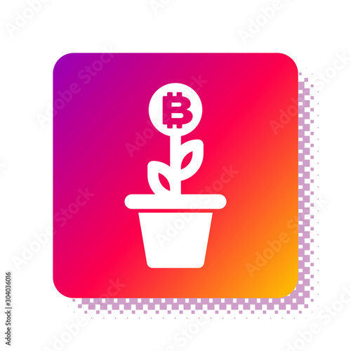 White Bitcoin plant in the pot icon isolated on white background. Business investment growth concept. Blockchain technology, cryptocurrency mining. Square color button. Vector Illustration photo