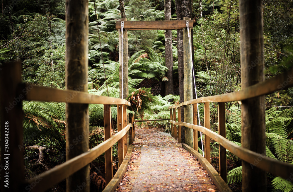 Bridge in the forest. Somerset Tasmania Bridge in the forest. Somerset Tasmania