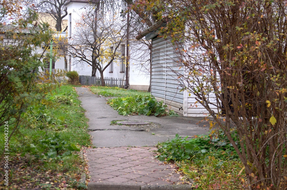 Autumn view of the yard.  A path of asphalt between bushes with yellow and green leaves. White house, near the green grass.