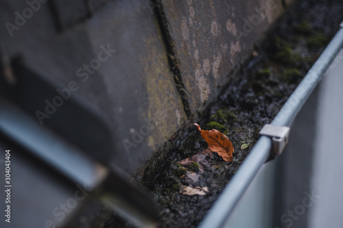 leaf in gutter