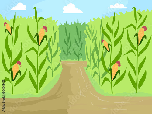 Corn Maze Entrance Path Illustration