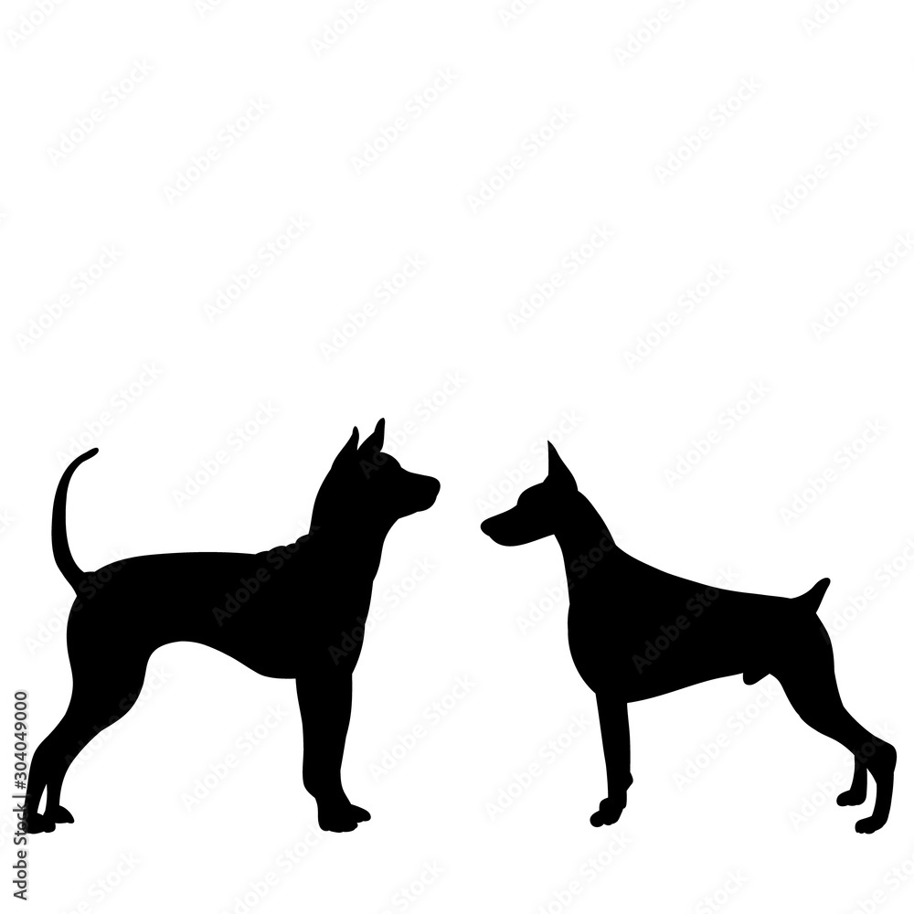 vector, on a white background, black silhouette of a dog stand