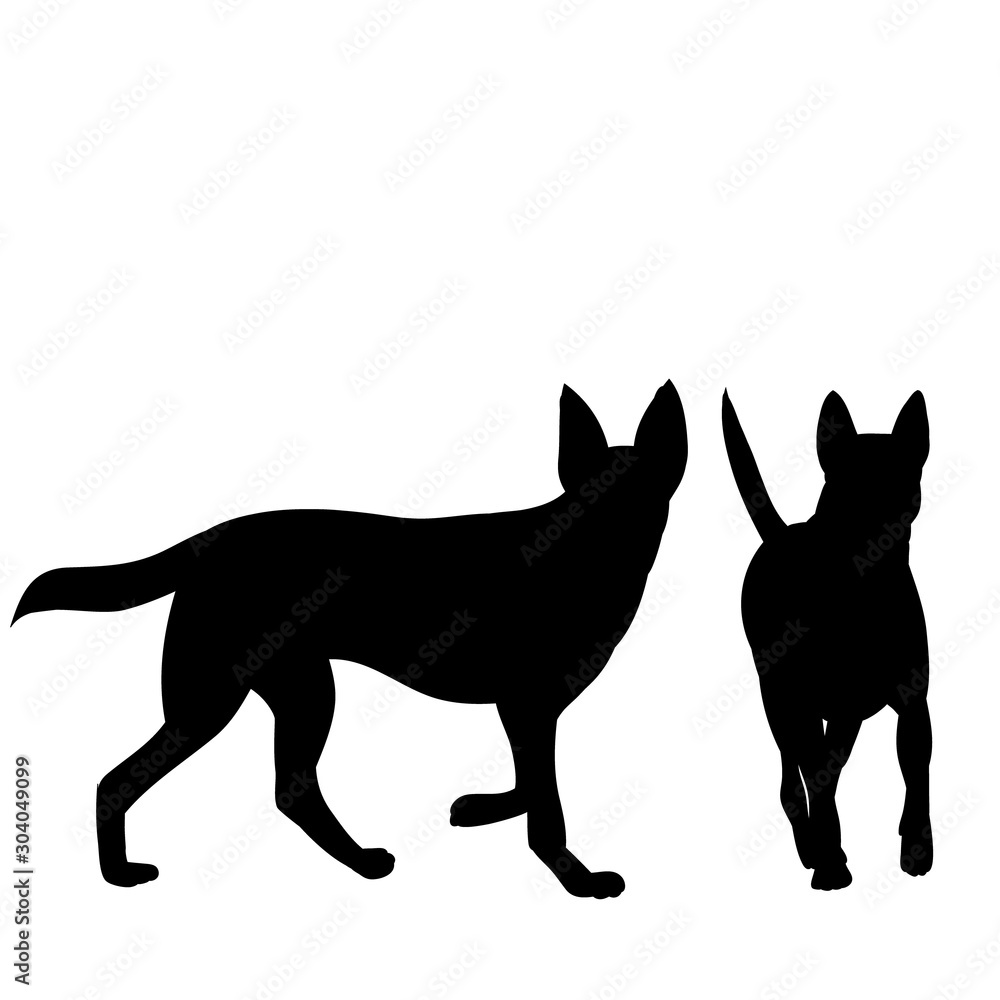 black silhouette of a walking dog