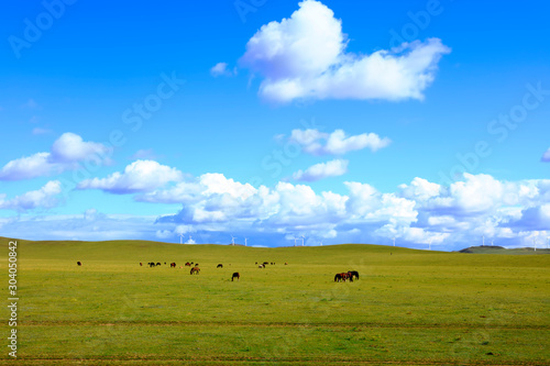 Horses and wind turbines in the grasslands