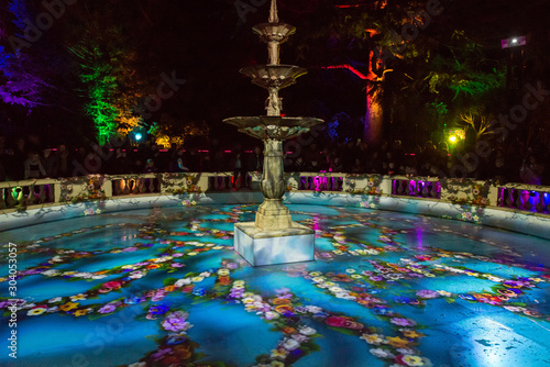 fountain in the park at night