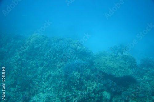Fototapeta Naklejka Na Ścianę i Meble -  Fonds sous-marins de la Mer Rouge ( Hurghada -Égypte)