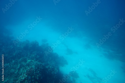 Fonds sous-marins de la Mer Rouge   Hurghada -  gypte 