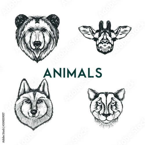 Sketched Drawn Wild Animals Muzzles Vector Set