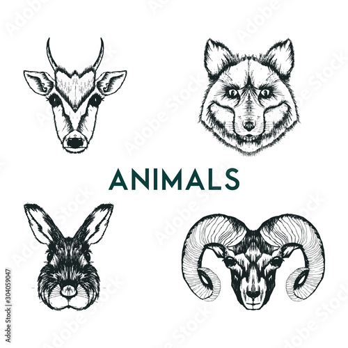 Sketched Drawn Wild Animals Muzzles Vector Set