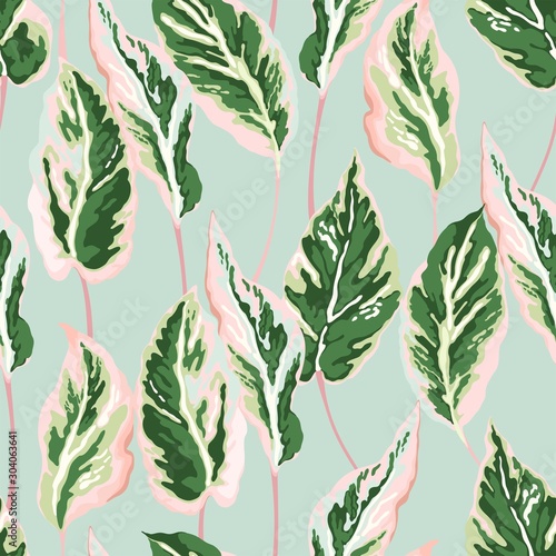 Foliage seamless pattern. Colorful leaves of houseplant on turquoise background. Vector floral illustration.