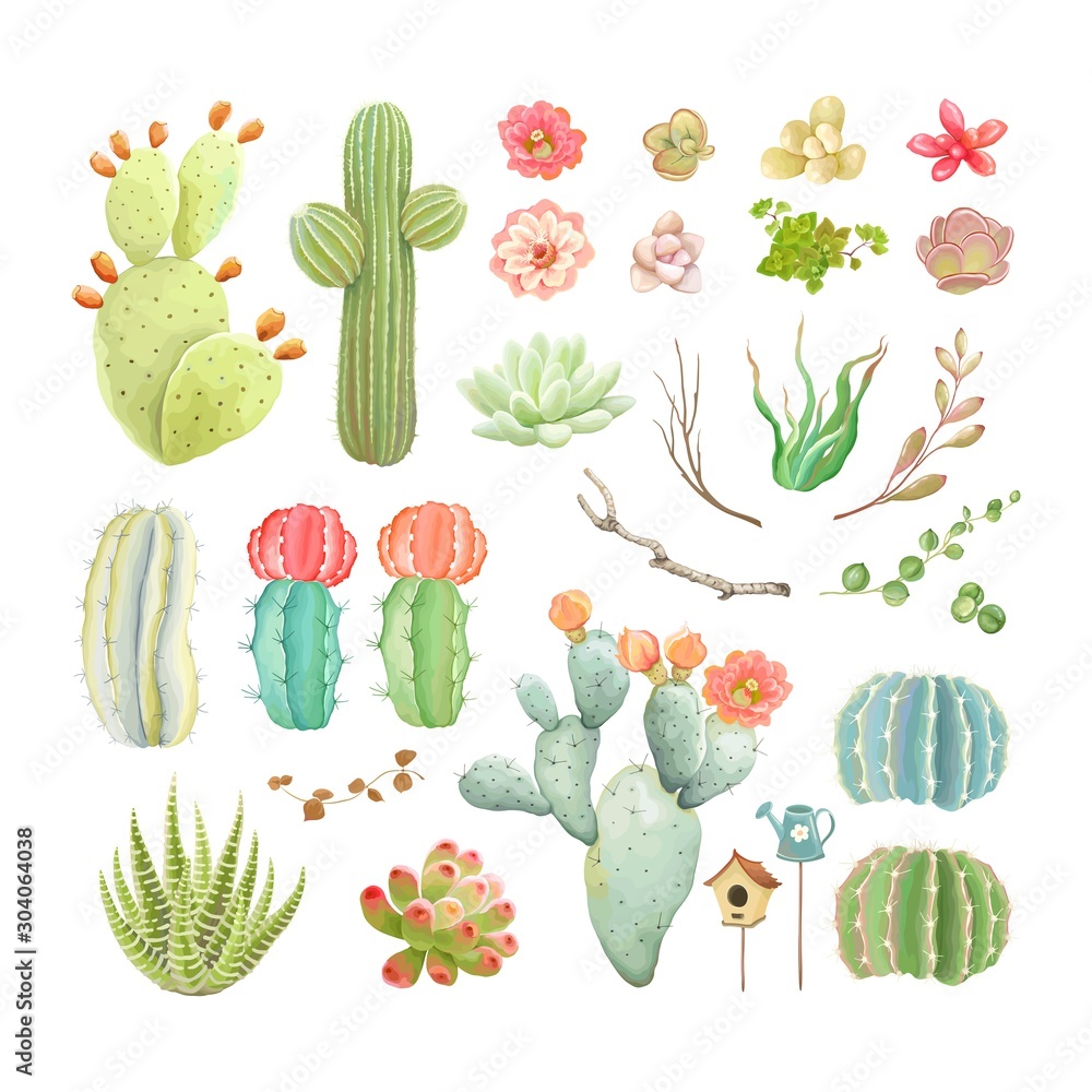 Big vector set with flowers, cacti, branches and succulents. Big vector set with flowers, cacti, branches and succulents.