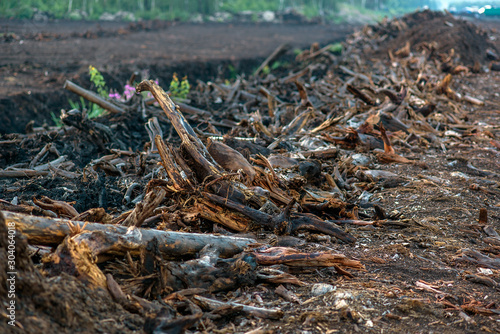 Ukraine, the Polesie region, peat fields, extraction of a mineral © vipavlenkoff