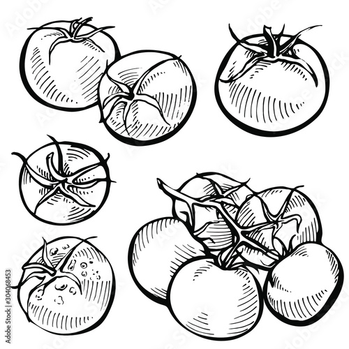 Set of hand drawn tomato. Organic eco food