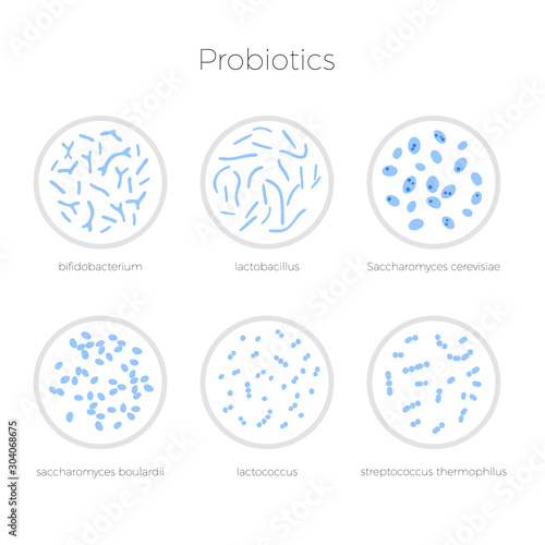 Vector isolated illustration of probiotics 