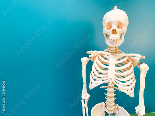 Artificial human skeleton in a school classroom. A green chalkboard is in the background.