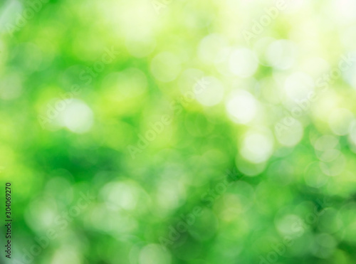 Green bokeh background out of focus. green bokeh background.