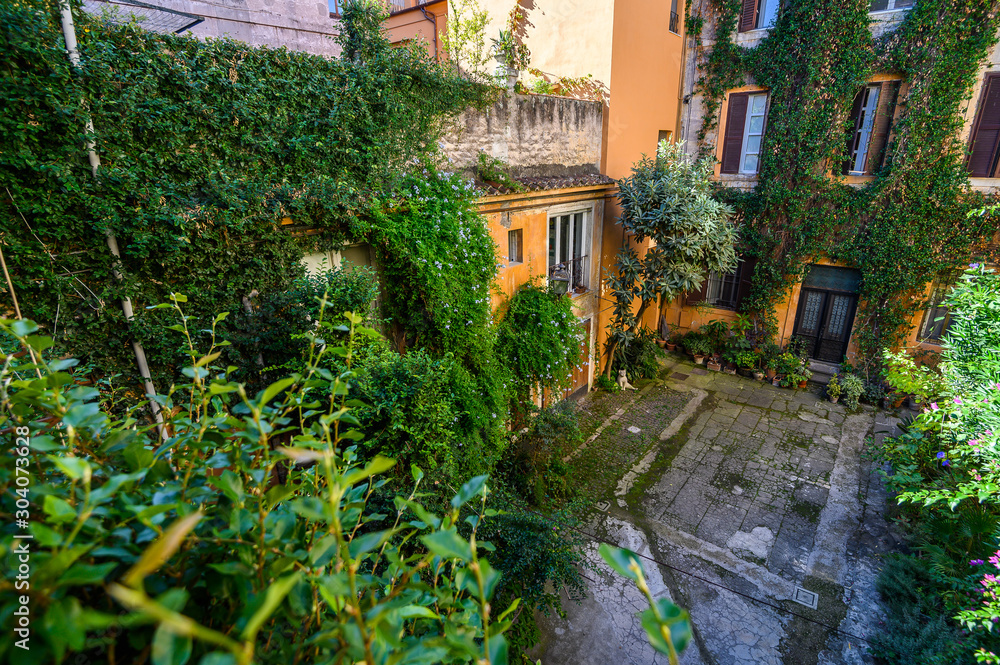 Yard full of plants in the Trastevere area. Italy, Rome