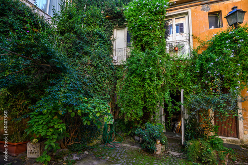 Antique front door. Yard full of plants in the Trastevere area. Italy  Rome.