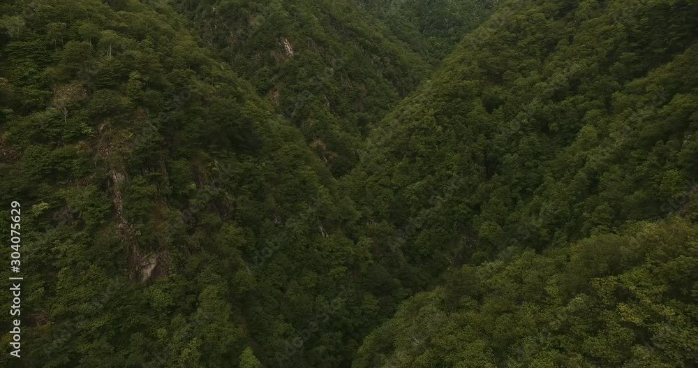 Monte Carasso, Switzerland. An amazing flight through a valley in the mountainous region of Monte Carasso, in Ticino, Switzerland. Tropical look. Monte Carasso, Switzerland. An amazing flight through a valley in the mountainous region of Monte Carasso, in Ticino, Switzerland. Tropical look.