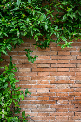 Detail of brick red wall with decorative arches and growing plant. Italy, Rome