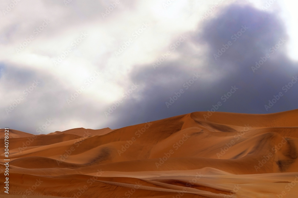 Amazing view of the sand dunes inNamib Desert. Artistic picture. Beauty world.