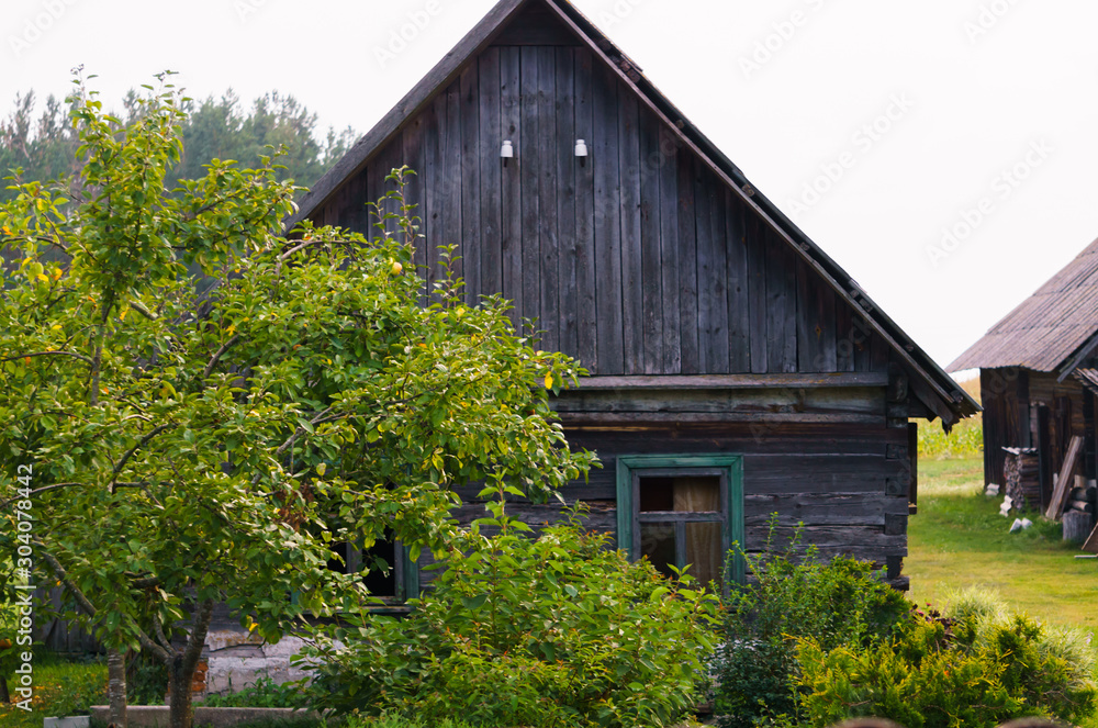 Old wooden buildings in the village, built in the middle of the last century. Old wooden buildings in the village, built in the middle of the last century.