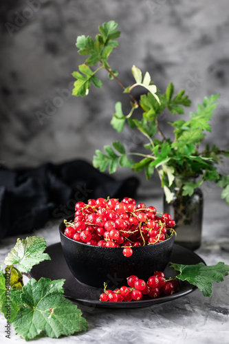 Fresh currants in a ceramic cup: red currants, selective focus. Place for text. Copy space