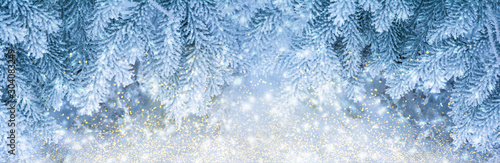 Beautiful fir tree covered snow, closeup. Winter Christmas greeting card panoramic background, copy space. Holiday spruce branches landscape, falling snowflakes. Nature panorama. Soft blue toned