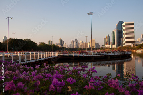 Benjakitti park lake surrounded by bright blossoming fuchsia flowers with modern buildings silhouettes on the background in Bangkok, Thailand