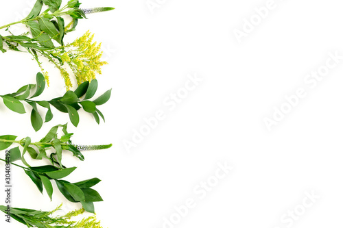 Frame made of ruscus, veronica and solidago flowers on white background